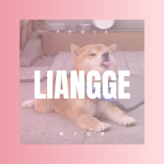 兄弟我来陪你醉 (DJ咕咚版)