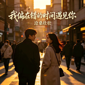 我偏在错的时间遇见你