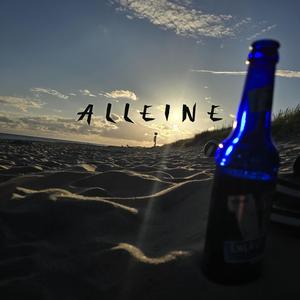 Alleine (feat. Tonee Jukeboxx)