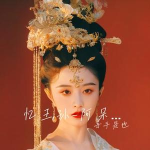 忆王孙-阿呆少年狂