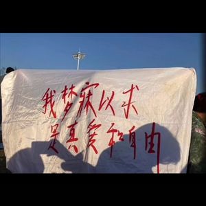 无与伦比的美丽