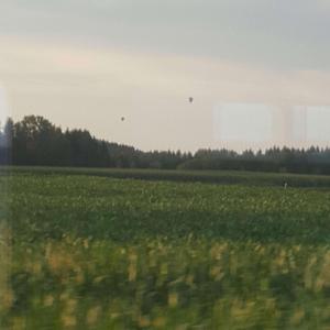 Fog