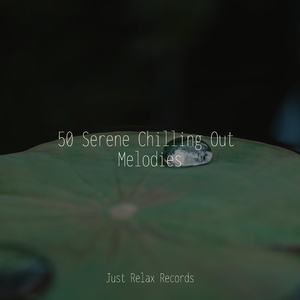 Silent Observance in Solitude