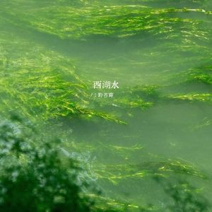 西湖水