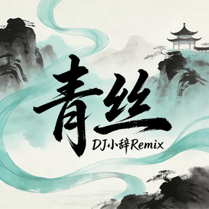 青丝 (DJ版)