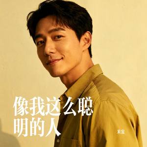 像我这么聪明的人