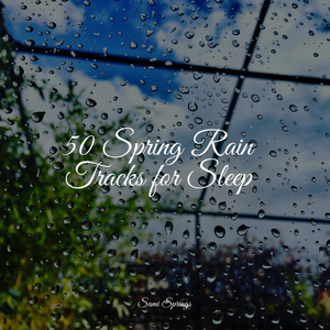 Ocean, Waves, Splashing