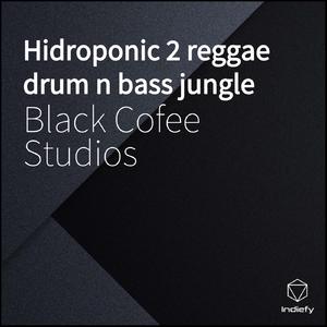 Hidroponic 2 reggae drum n bass jungle