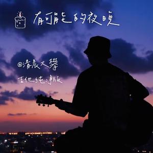 有可能的夜晚（吉他纯净版）
