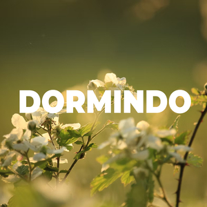 Dormindo