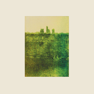 Molch, Pfütze, Schilf & Stein