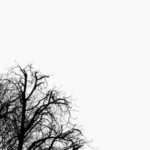 Non ci daremo per vinti