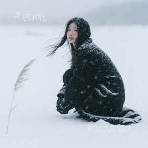 寂寞的风寂寞的雪