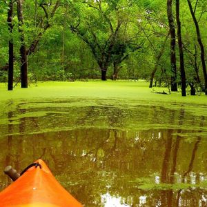 原谅我陌生的眼光