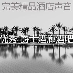 抚慰的酒吧酒店回忆