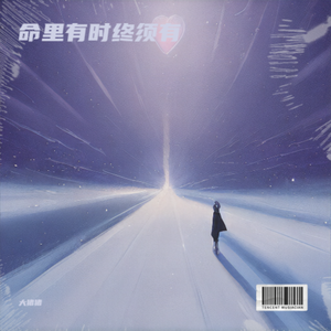 命里有时终须有