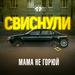 Свиснули