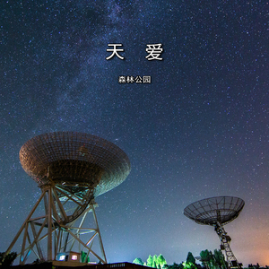 天爱三部曲之拍星记