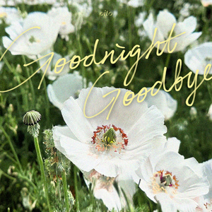 Goodnight Goodbye (Demo)