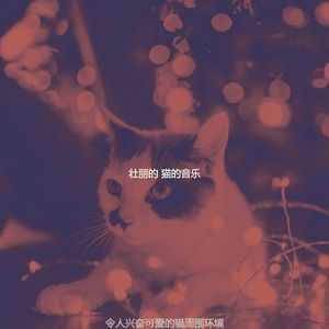 微妙的压力大的猫心情