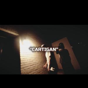 CARTIGAN (feat. Z0NE)
