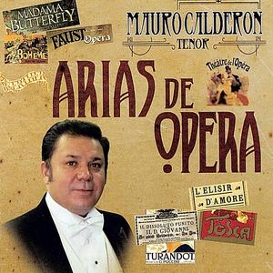 Libiamo Ne' Lieti Calici