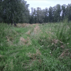 Отношения (Remix)