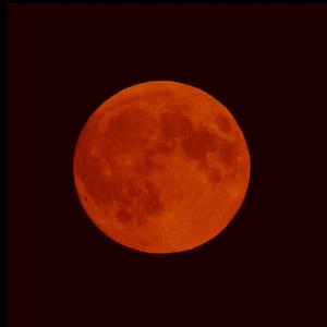 Shake It Off (feat. DrewFig)