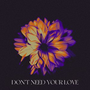 Don't Need Your Love
