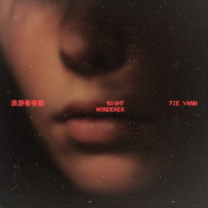 浪游者的夜歌