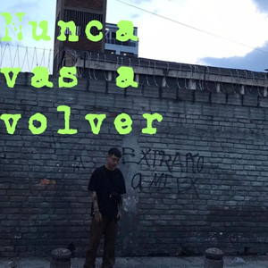 Nunca Vas A Volver