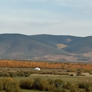 Variations on the Theme of Altargana