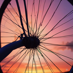 The Bicycle