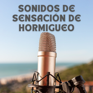 Aplicación De Brillo