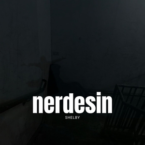 Nerdesin