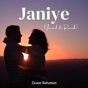 Janiye (Slowed + Reverb)