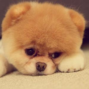 10v3 f0r y0U(prod by UVI)