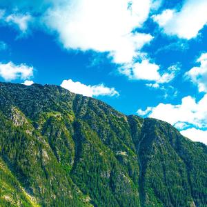 把悲伤留给自己2