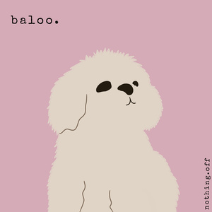 baloo.