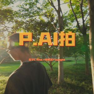 P.AI拍