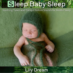 自律神経を整える 睡眠用リラックス音楽 睡眠の質を高め情緒安定・集中力向上 (睡眠と集中のためのバイノーラルビート)