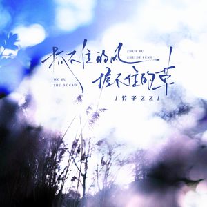 抓不住的风握不住的草