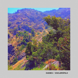 Aproximación (Intro)