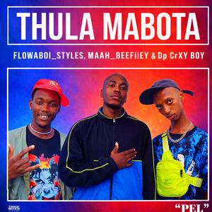 Thula Mabota (feat. Raidor, Mr Moshemane, Chyna1021, Nceba Da Voca & iSteeze Prod)