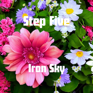 Iron Sky
