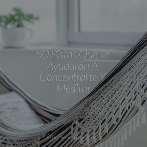 Sinfonía de Solaz Helado