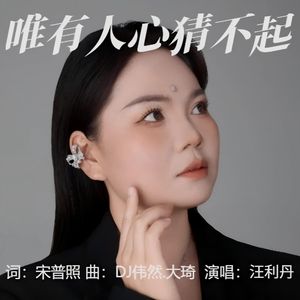 唯有人心猜不起-伴奏