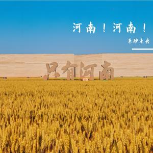 河南的麦
