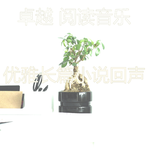 柔和的图书时刻