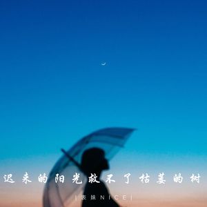 迟来的阳光救不了枯萎的树